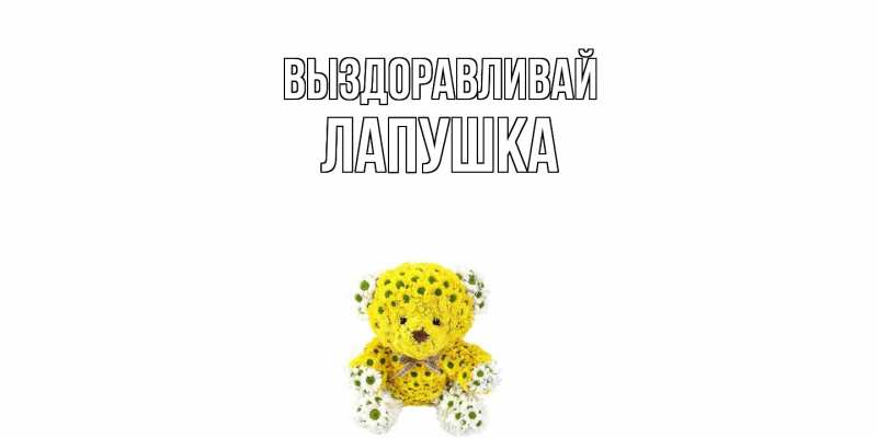Картинка Выздоравливай, лапушка