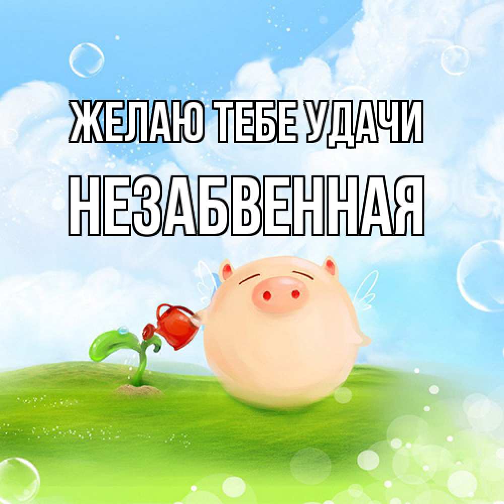 Открытка на каждый день с именем, незабвенная Желаю тебе удачи поросенок поливает цветок. летнее настроение Прикольная открытка с пожеланием онлайн скачать бесплатно 