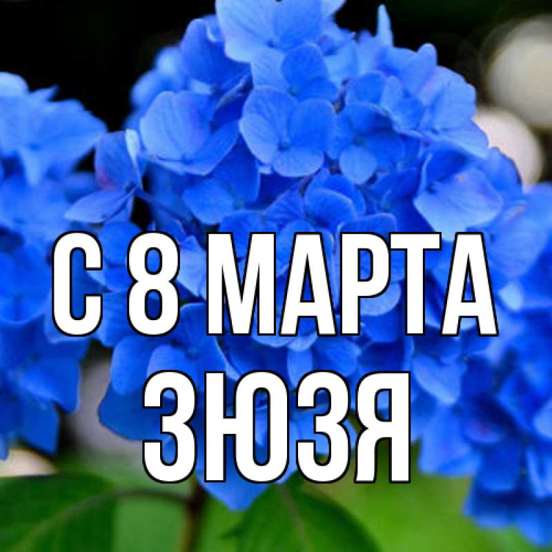 Картинка C 8 МАРТА, Зюзя