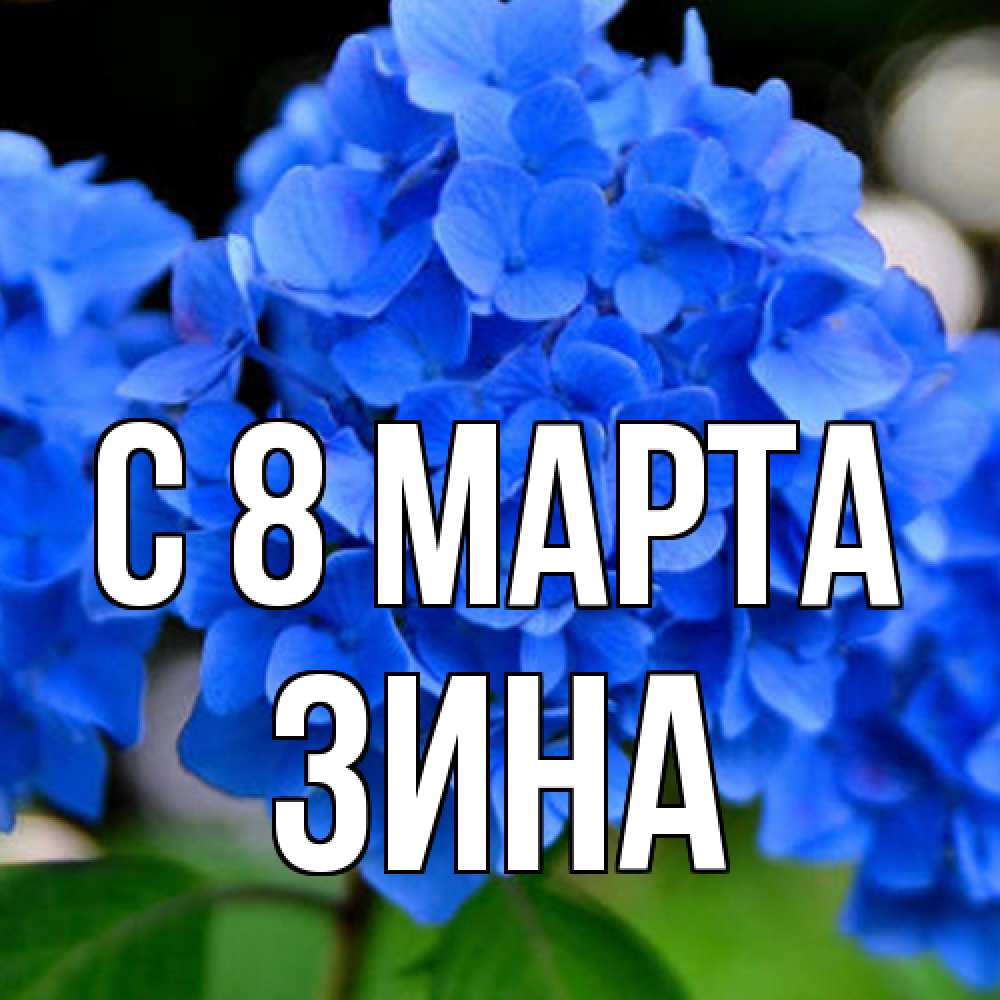 Открытка на каждый день с именем, Зина C 8 МАРТА синие цветы Прикольная открытка с пожеланием онлайн скачать бесплатно 