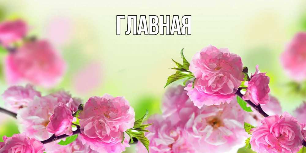 Открытка на каждый день с именем, настя Главная веточки с цветками Прикольная открытка с пожеланием онлайн скачать бесплатно 