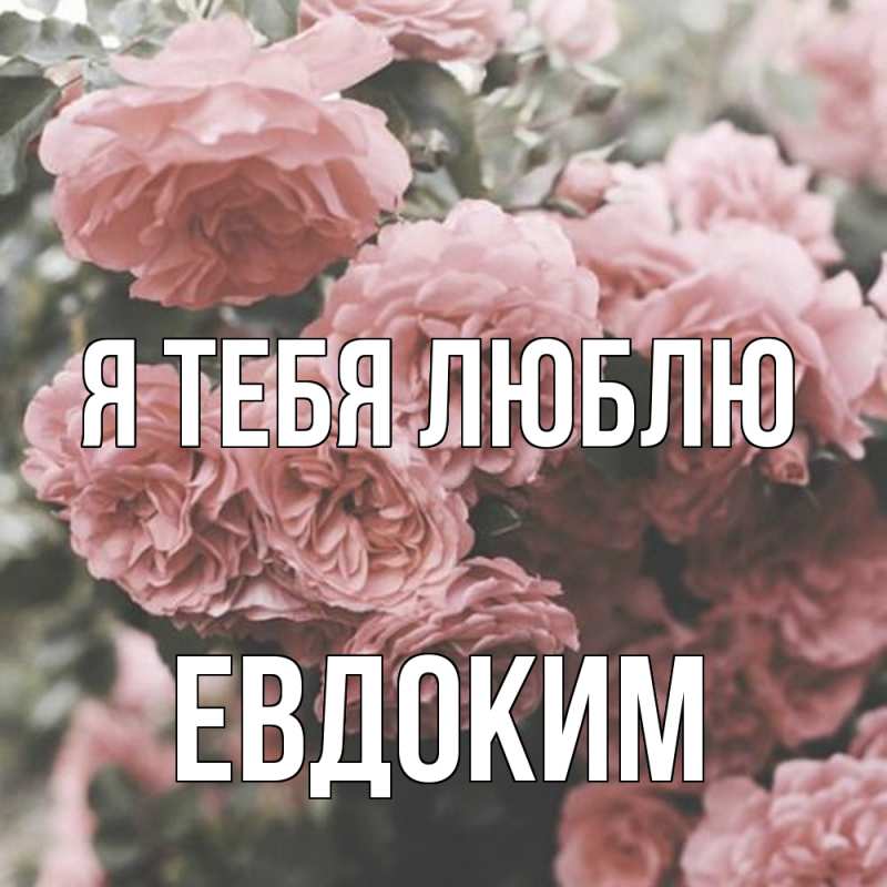 Картинка Я тебя люблю, Евдоким