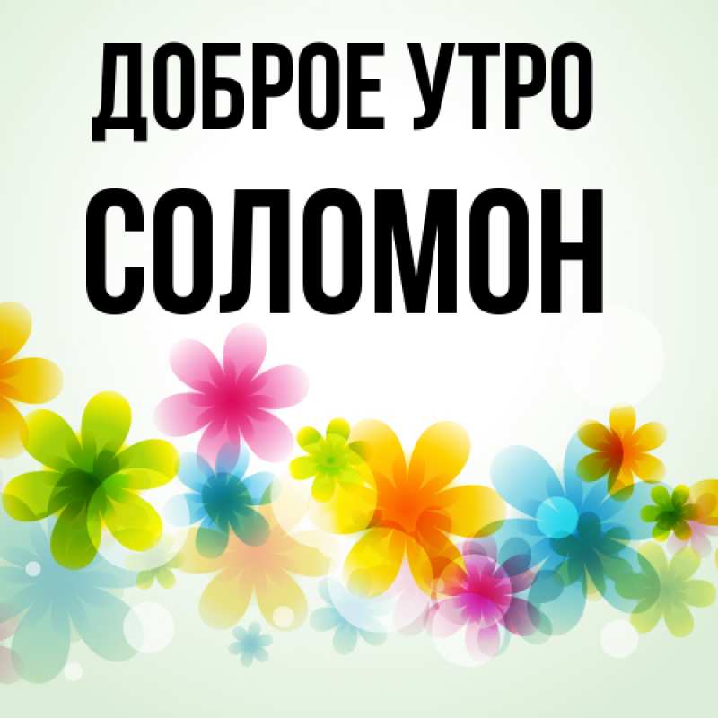 Картинка Доброе утро, Соломон