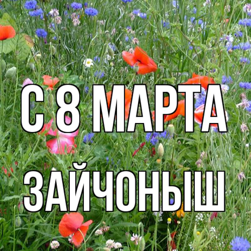 Картинка C 8 МАРТА, зайчоныш
