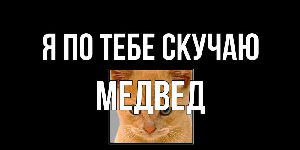 Открытка на каждый день с именем, Медвед Я по тебе скучаю открытки рыжий котенок скучает по тебе Прикольная открытка с пожеланием онлайн скачать бесплатно 