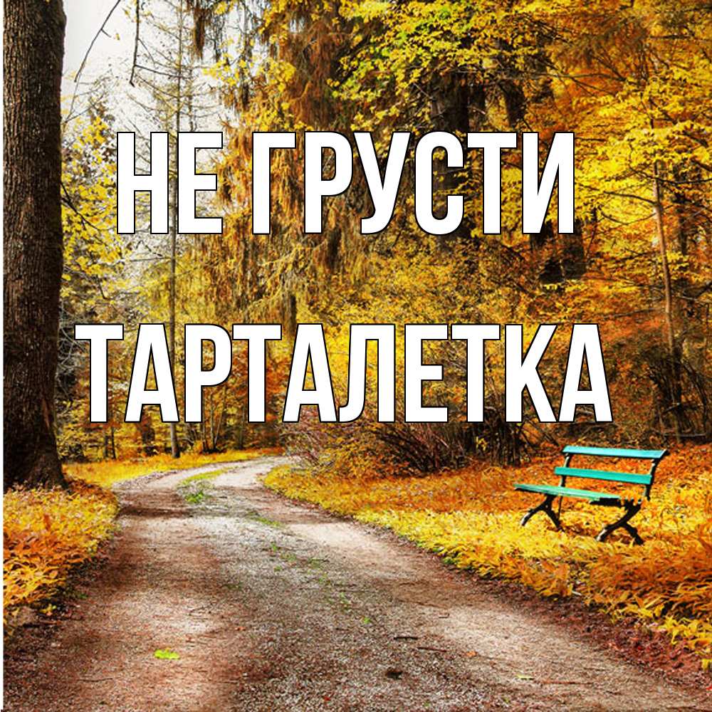 Открытка на каждый день с именем, Тарталетка Не грусти зеленая лавочка Прикольная открытка с пожеланием онлайн скачать бесплатно 