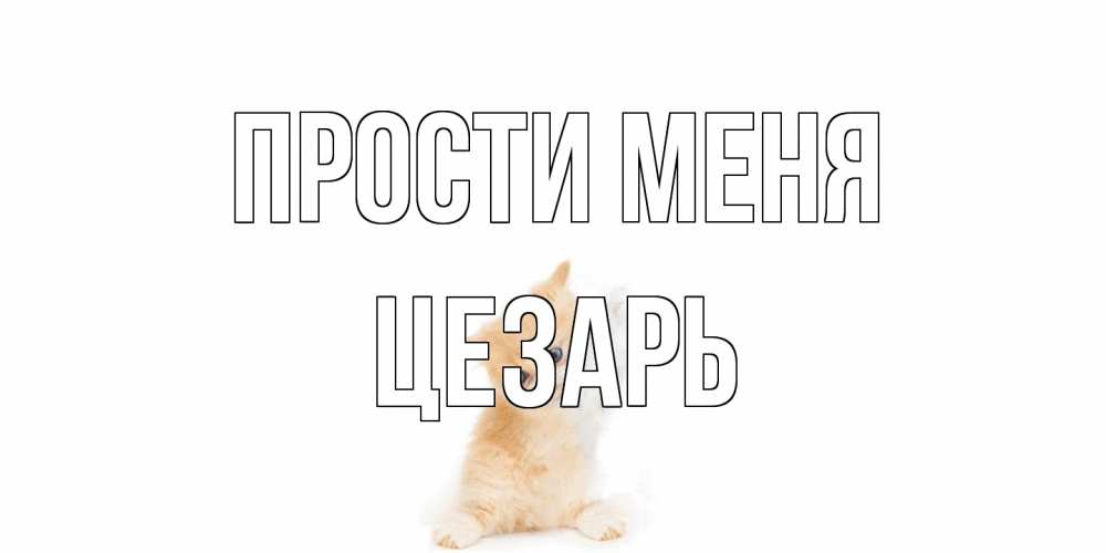 Открытка на каждый день с именем, Цезарь Прости меня кот Прикольная открытка с пожеланием онлайн скачать бесплатно 