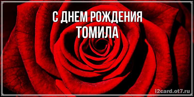 Картинка С днем рождения, Томила
