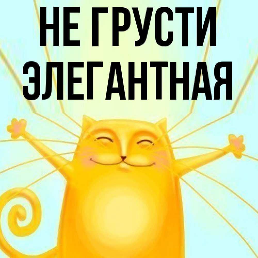 Открытка на каждый день с именем, элегантная Не грусти обнимашки усатые Прикольная открытка с пожеланием онлайн скачать бесплатно 