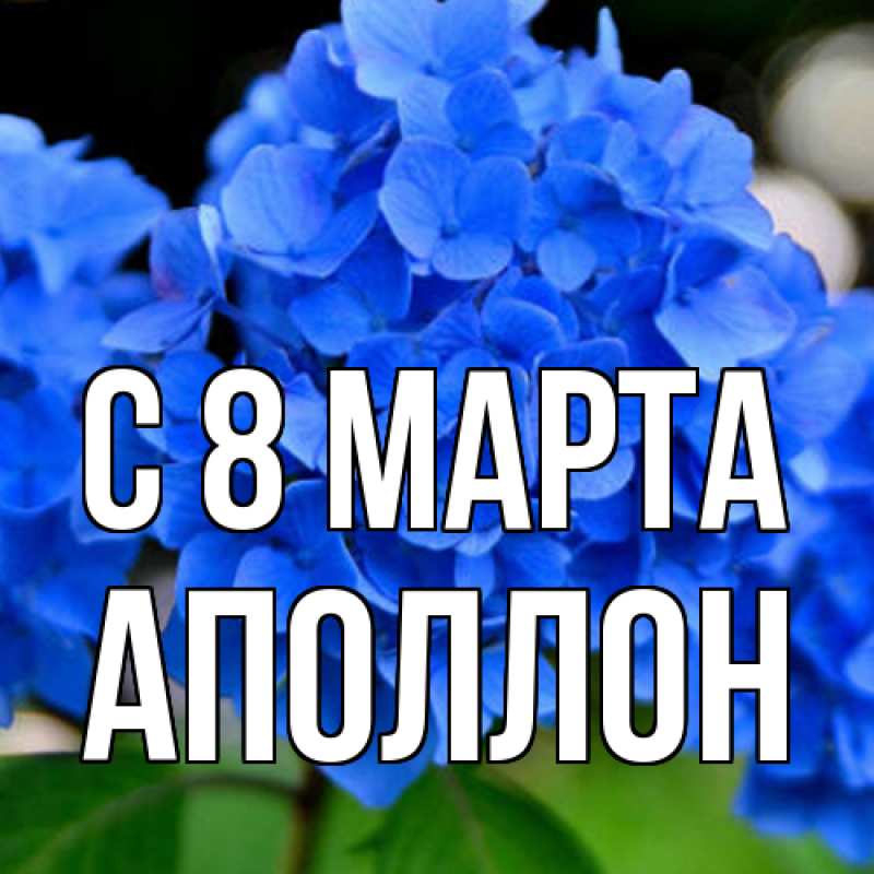 Картинка C 8 МАРТА, Аполлон