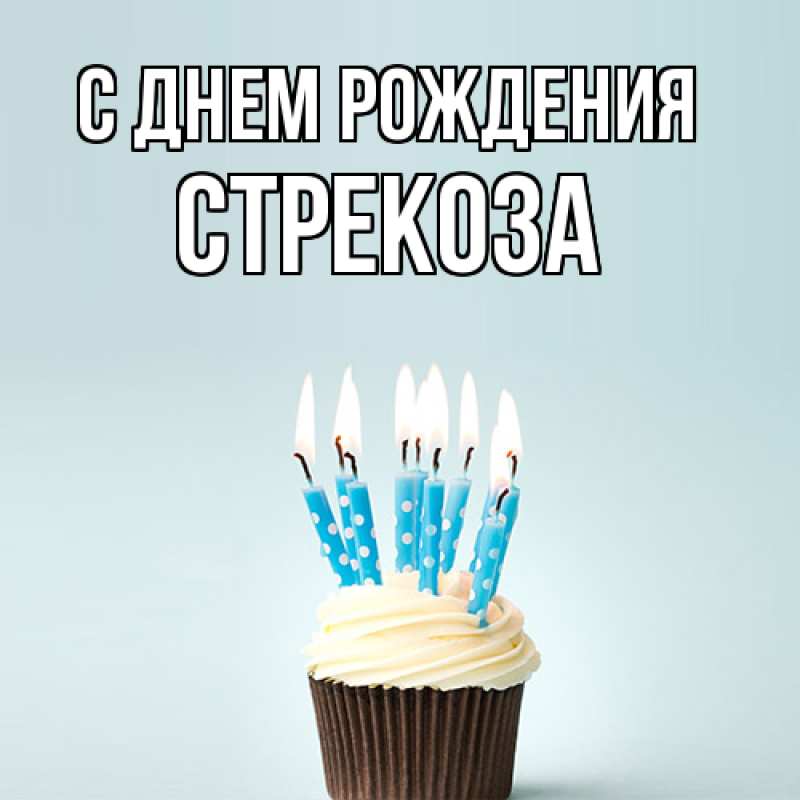 Картинка С днем рождения, Стрекоза