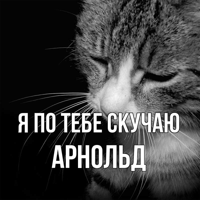 Картинка Я по тебе скучаю, Арнольд