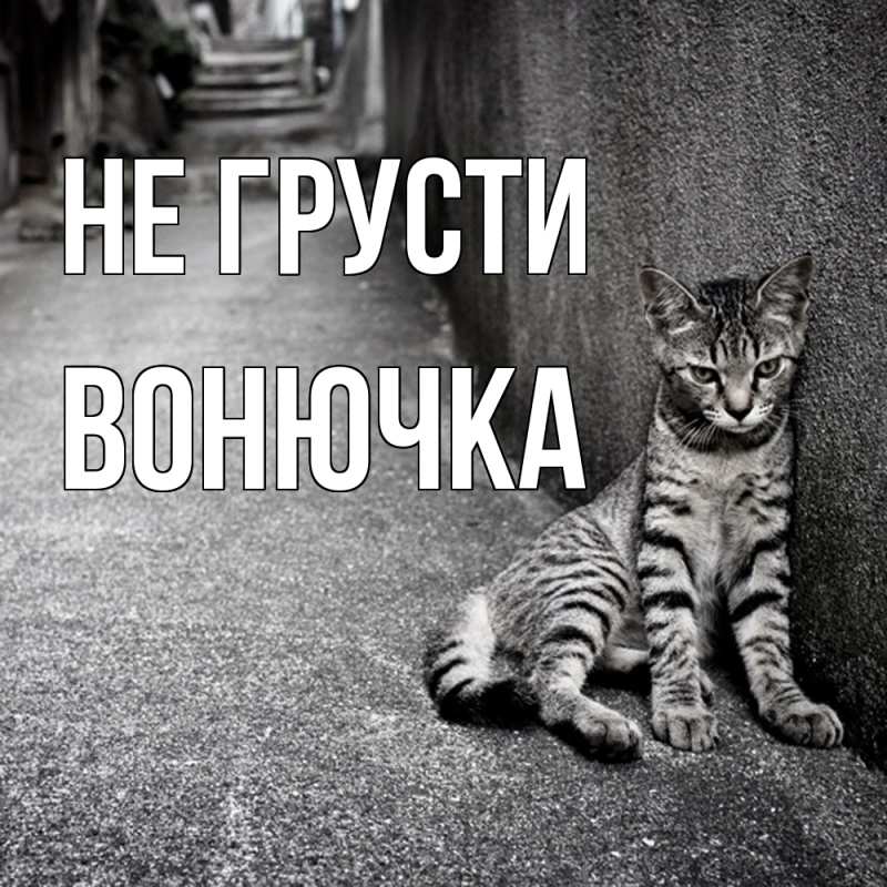 Картинка Не грусти, Вонючка