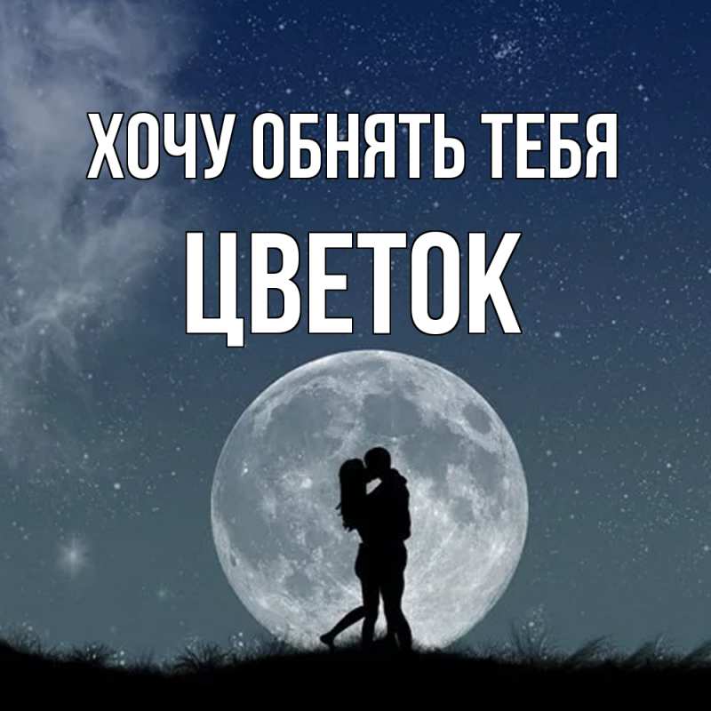 Картинка Хочу обнять тебя, Цветок