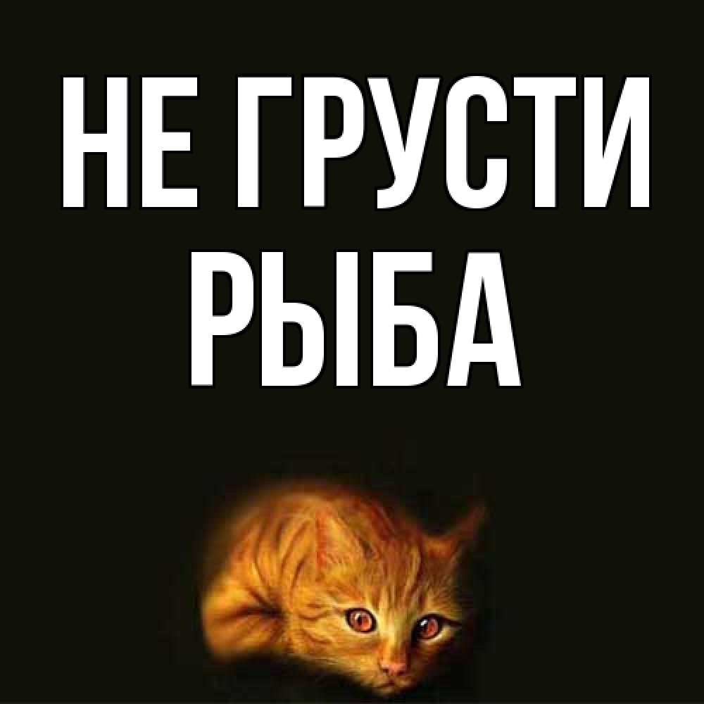 Открытка на каждый день с именем, Рыба Не грусти лежащий кот в темноте Прикольная открытка с пожеланием онлайн скачать бесплатно 