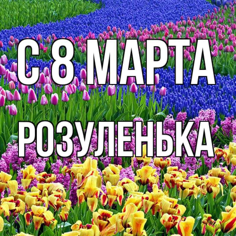 Картинка C 8 МАРТА, Розуленька