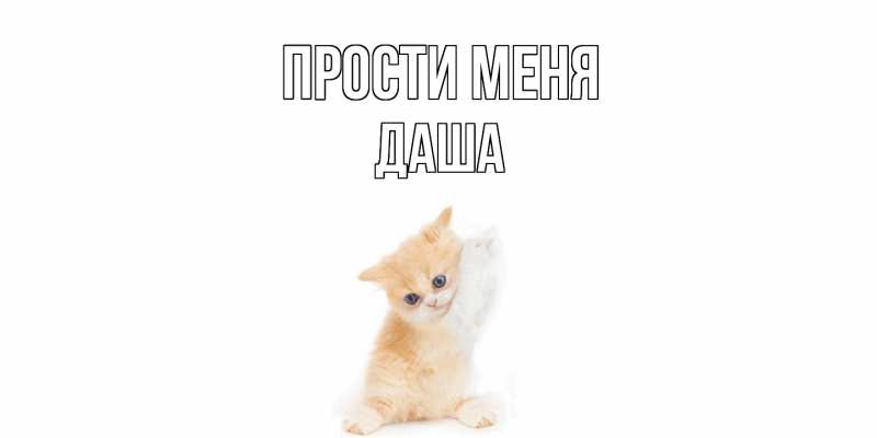 Картинка Прости меня, Даша