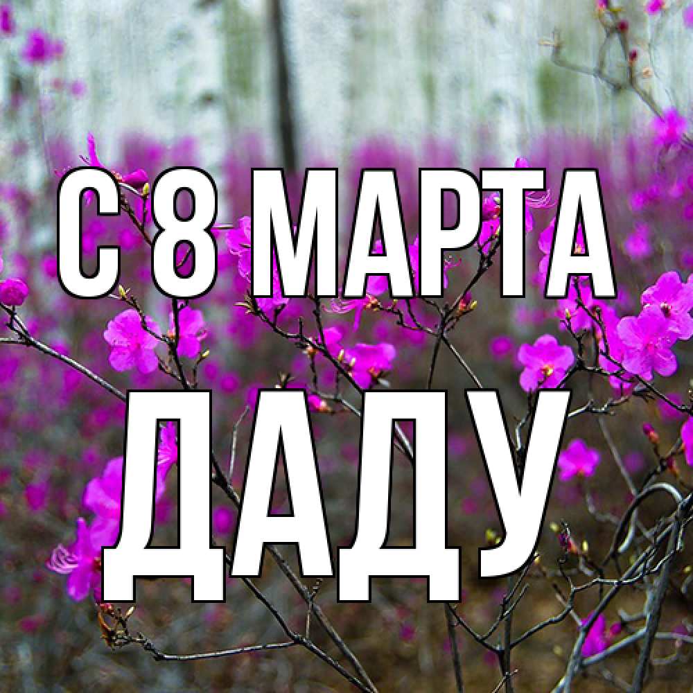 Открытка на каждый день с именем, Даду C 8 МАРТА дикие цветы Прикольная открытка с пожеланием онлайн скачать бесплатно 