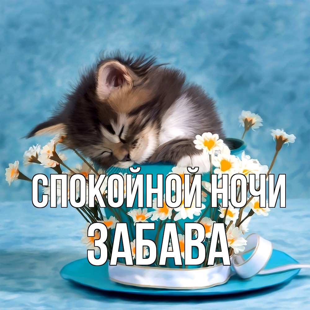 Открытка на каждый день с именем, Забава Спокойной ночи котенок спит в кружке с блюдцем Прикольная открытка с пожеланием онлайн скачать бесплатно 