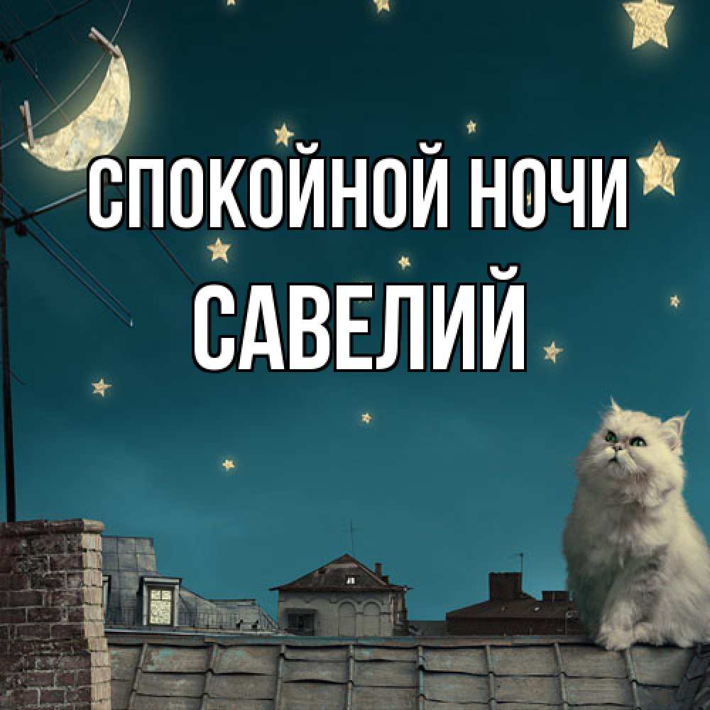 Открытка на каждый день с именем, Савелий Спокойной ночи белый кот сидит на крыше Прикольная открытка с пожеланием онлайн скачать бесплатно 