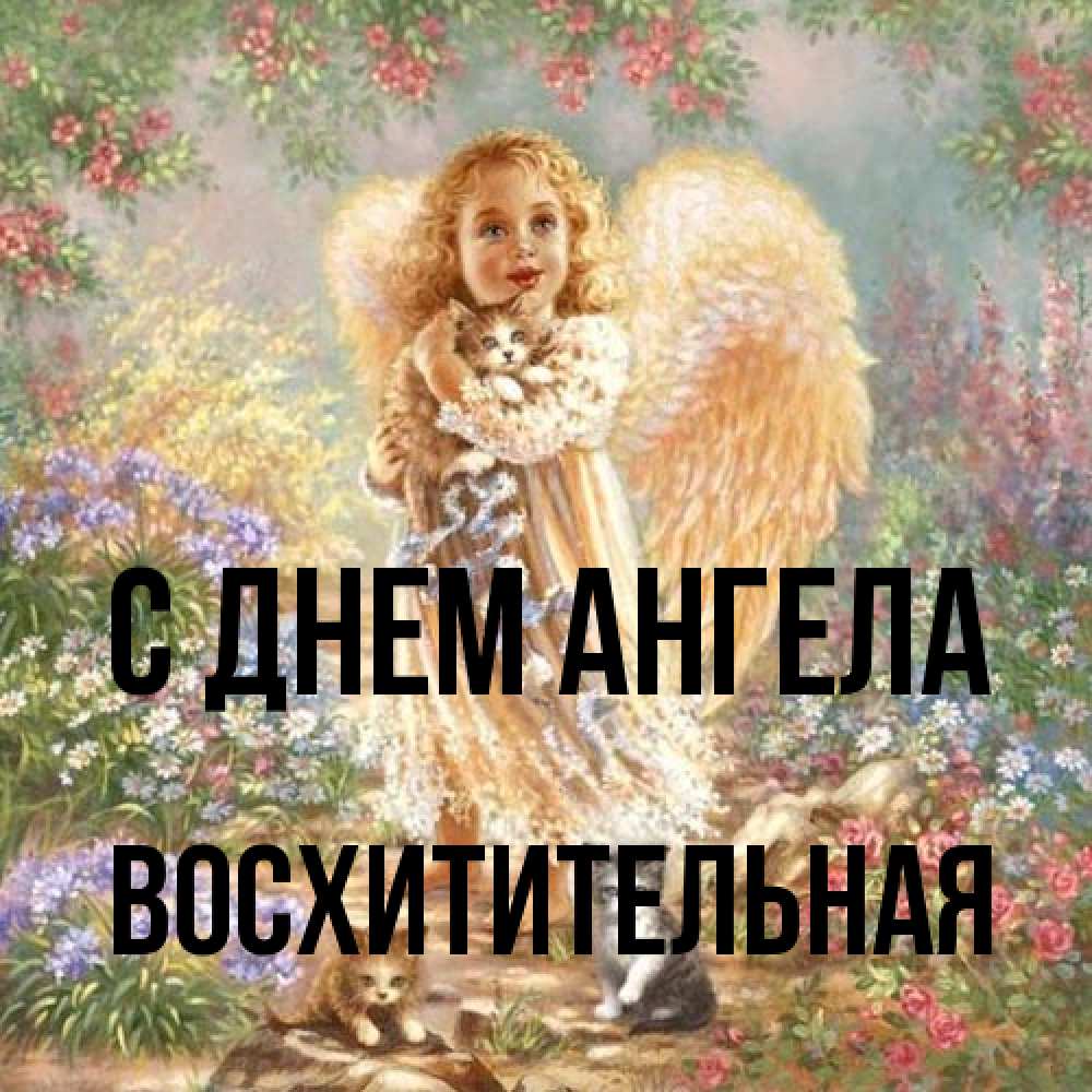 Открытка на каждый день с именем, восхитительная С днем ангела держит котенка Прикольная открытка с пожеланием онлайн скачать бесплатно 