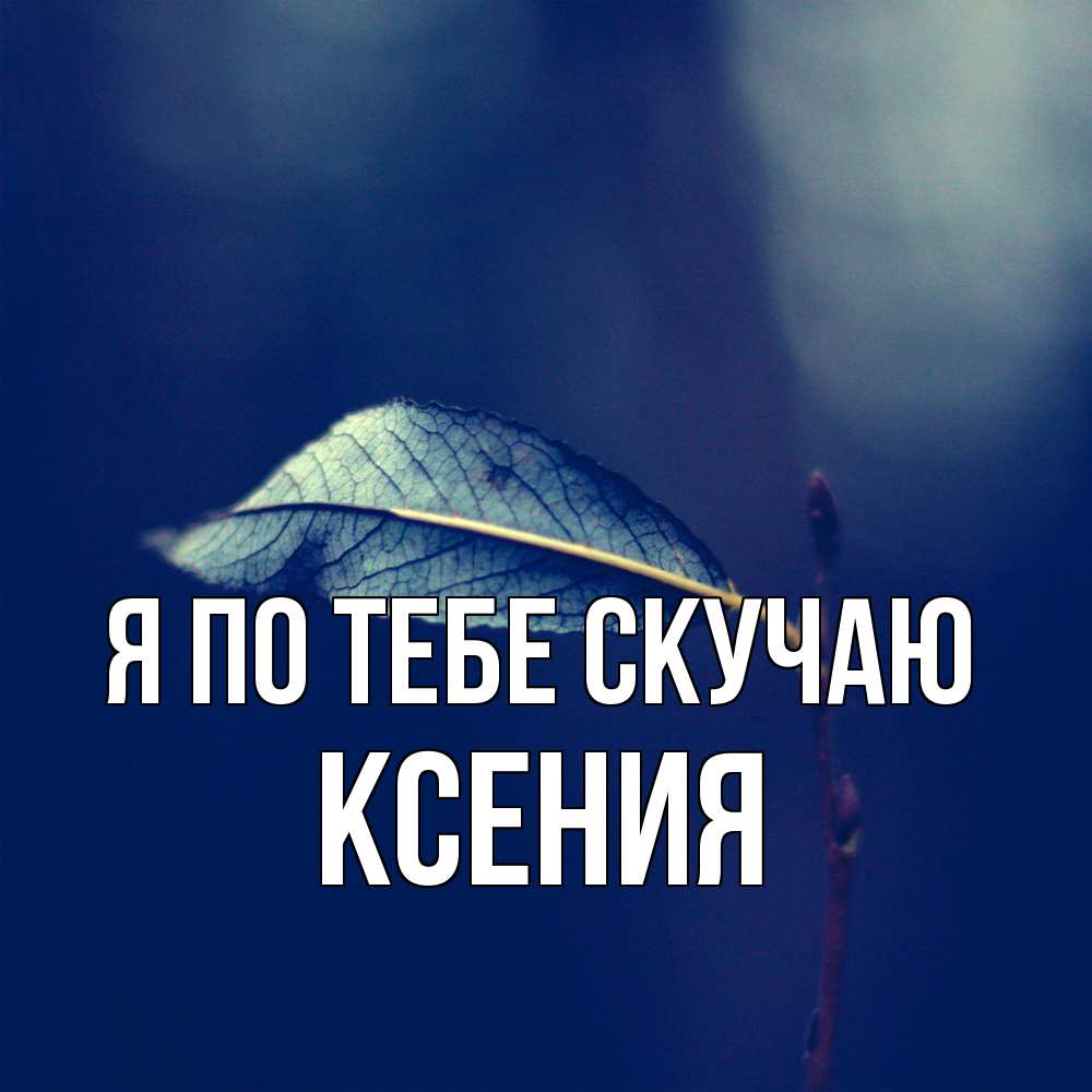 Открытка на каждый день с именем, Ксения Я по тебе скучаю одна ветка 1 Прикольная открытка с пожеланием онлайн скачать бесплатно 