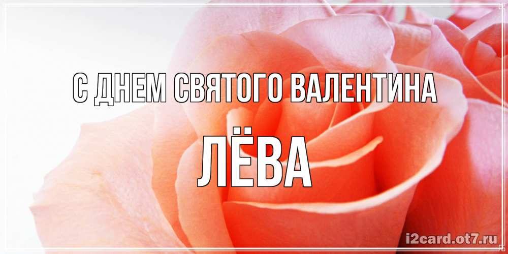Открытка на каждый день с именем, Лёва С днем Святого Валентина открытка на день Святого Валентина с розовой розой Прикольная открытка с пожеланием онлайн скачать бесплатно 