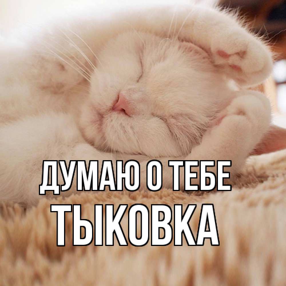 Открытка на каждый день с именем, тыковка Думаю о тебе для любимой девушки милота Прикольная открытка с пожеланием онлайн скачать бесплатно 