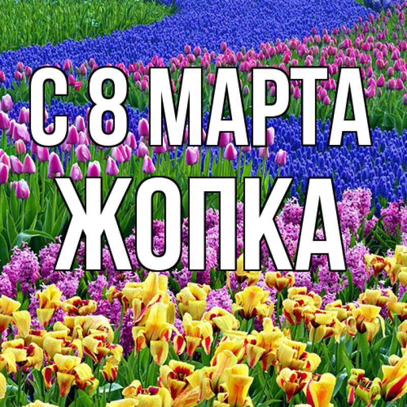 Картинка C 8 МАРТА, Жопка