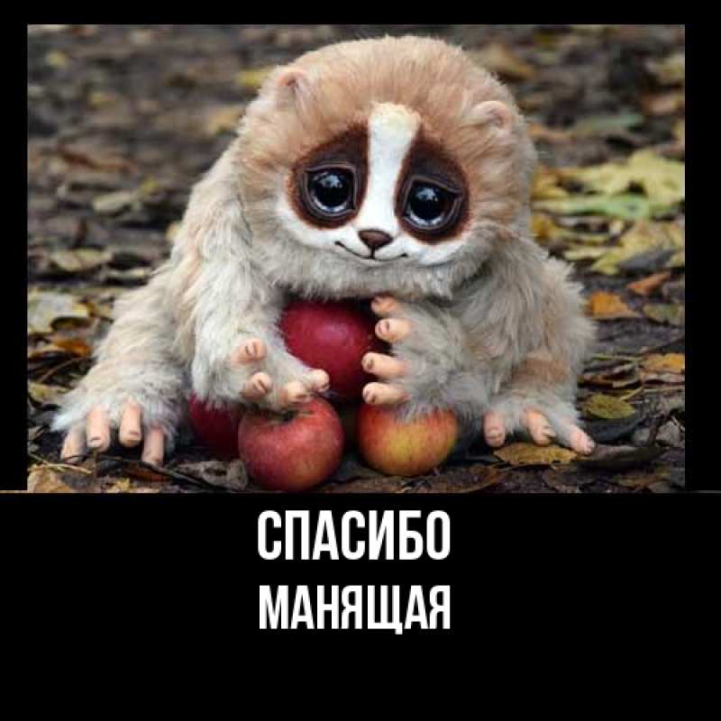 Картинка Спасибо, манящая