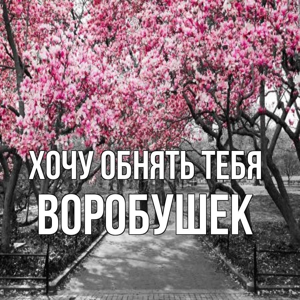 Открытка на каждый день с именем, Воробушек Хочу обнять тебя обработанное фото Прикольная открытка с пожеланием онлайн скачать бесплатно 