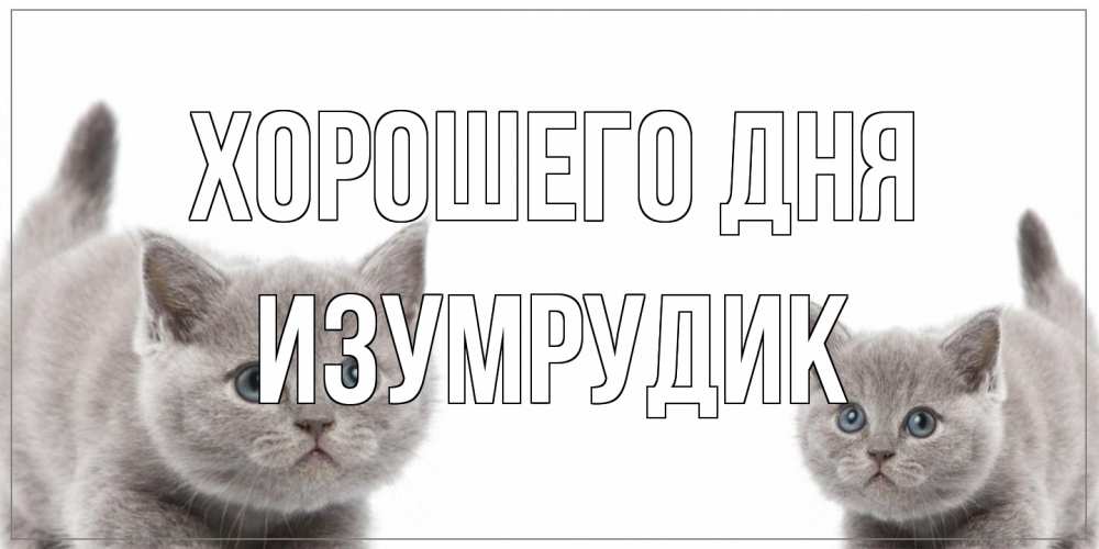 Открытка на каждый день с именем, изумрудик Хорошего дня открытка с котами Прикольная открытка с пожеланием онлайн скачать бесплатно 