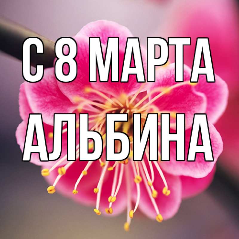 Картинка C 8 МАРТА, Альбина