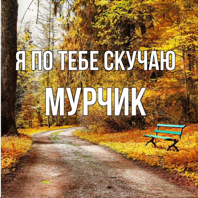 Картинка Я по тебе скучаю, Мурчик