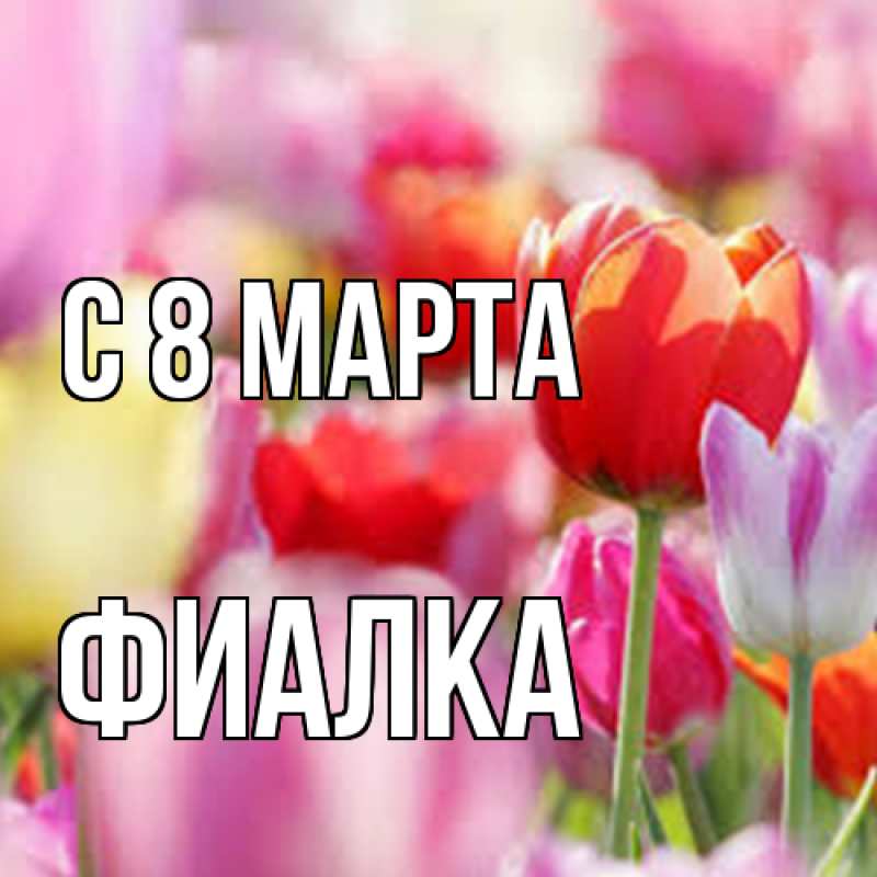 Картинка C 8 МАРТА, Фиалка