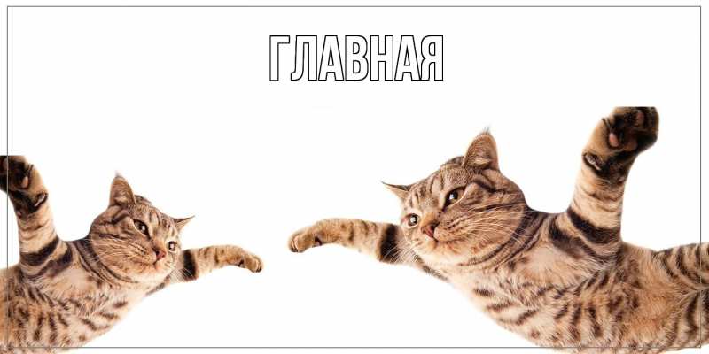 Картинка  с именем , настя