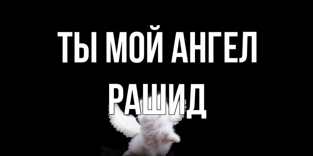 Открытка на каждый день с именем, Рашид Ты мой ангел Кот ангел Прикольная открытка с пожеланием онлайн скачать бесплатно 