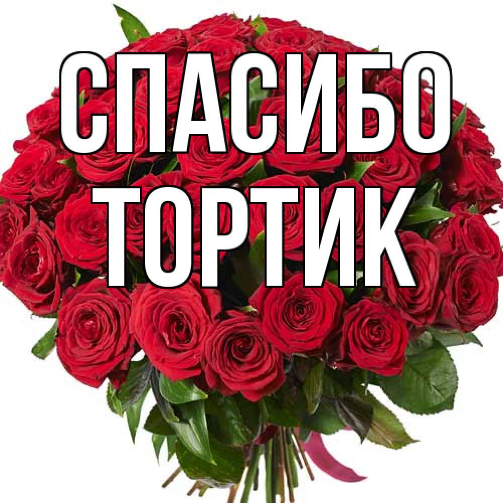 Открытка на каждый день с именем, Тортик Спасибо букет красных роз Прикольная открытка с пожеланием онлайн скачать бесплатно 
