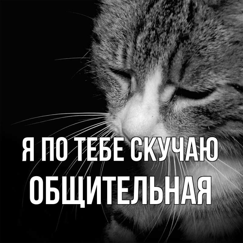 Картинка Я по тебе скучаю, Общительная