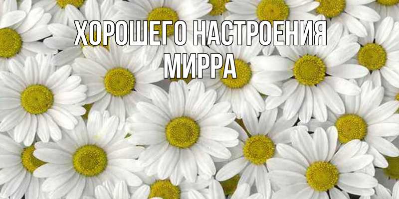 Картинка Хорошего настроения, Мирра
