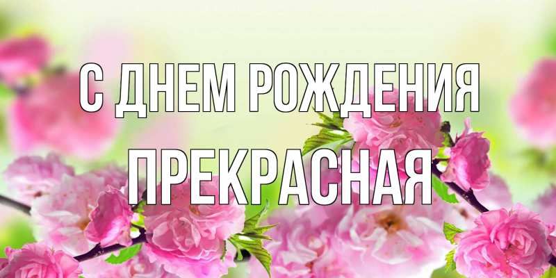 Картинка С днем рождения, Пpекpасная