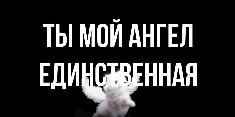 Открытка на каждый день с именем, Единственная Ты мой ангел Кот ангел Прикольная открытка с пожеланием онлайн скачать бесплатно 