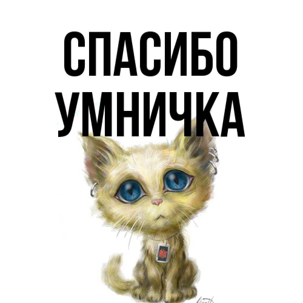 Открытка на каждый день с именем, Умничка Спасибо рисованный кот благодарит вас Прикольная открытка с пожеланием онлайн скачать бесплатно 