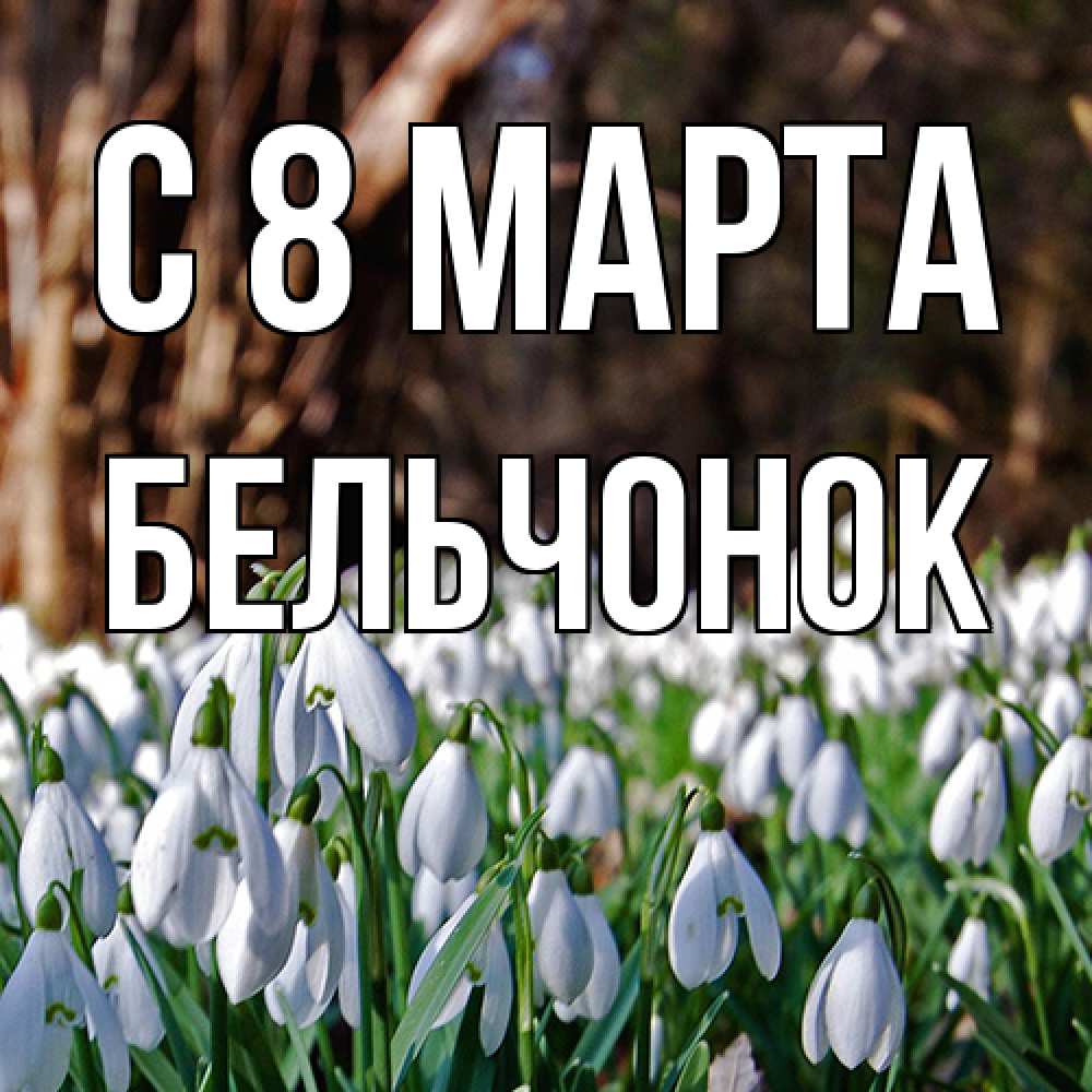 Открытка на каждый день с именем, бельчонок C 8 МАРТА с подснежниками 1 Прикольная открытка с пожеланием онлайн скачать бесплатно 