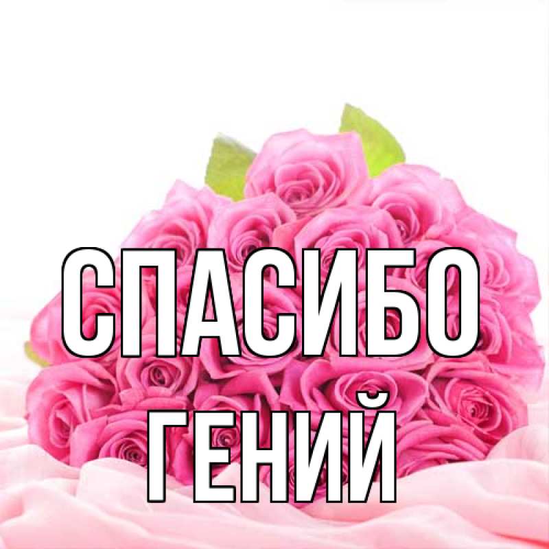 Картинка Спасибо, Гений
