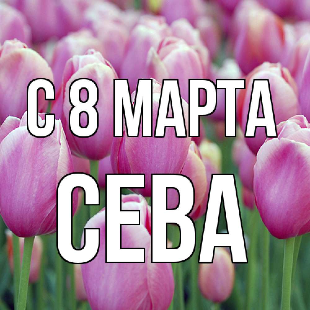 Открытка на каждый день с именем, Сева C 8 МАРТА на международный женский день 3 Прикольная открытка с пожеланием онлайн скачать бесплатно 