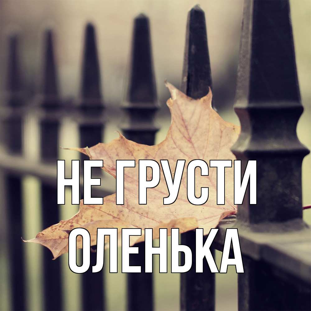 Открытка на каждый день с именем, Оленька Не грусти лист клена Прикольная открытка с пожеланием онлайн скачать бесплатно 