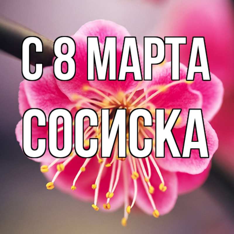 Картинка C 8 МАРТА, Сосиска