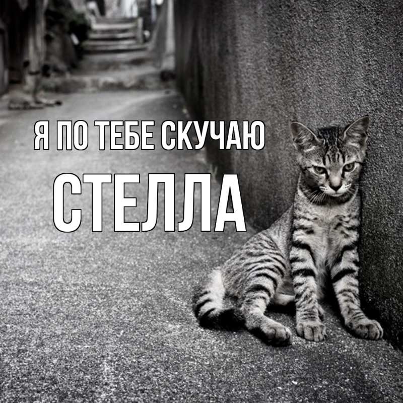 Картинка Я по тебе скучаю, Стелла