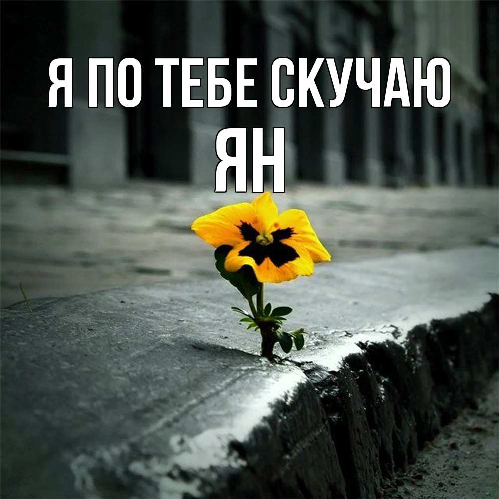 Открытка на каждый день с именем, Ян Я по тебе скучаю надеюсь будет лучше Прикольная открытка с пожеланием онлайн скачать бесплатно 